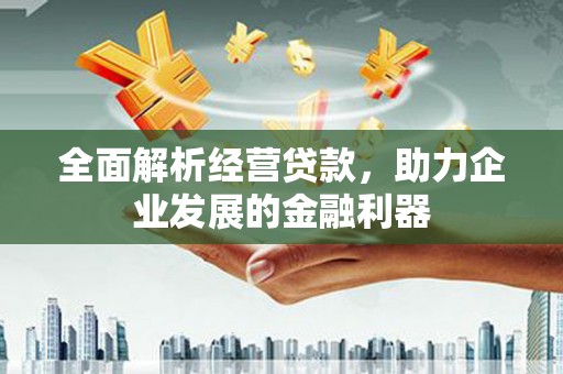 平阴全面解析经营贷款，助力企业发展的金融利器