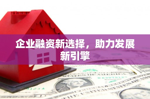 平阴企业融资新选择，助力发展新引擎