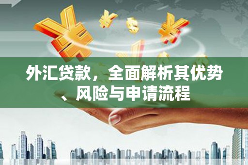 平阴外汇贷款，全面解析其优势、风险与申请流程
