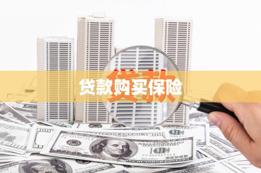 平阴贷款购买保险
