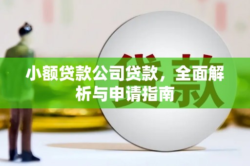 平阴小额贷款公司贷款，全面解析与申请指南