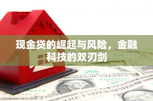 平阴现金贷的崛起与风险，金融科技的双刃剑
