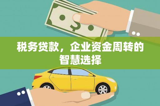 平阴税务贷款，企业资金周转的智慧选择