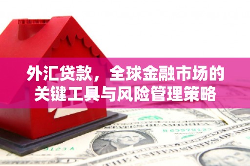 平阴外汇贷款，全球金融市场的关键工具与风险管理策略