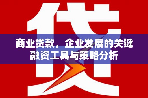 平阴商业贷款，企业发展的关键融资工具与策略分析