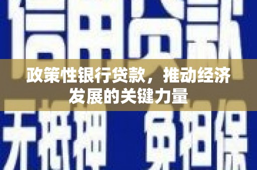 平阴政策性银行贷款，推动经济发展的关键力量