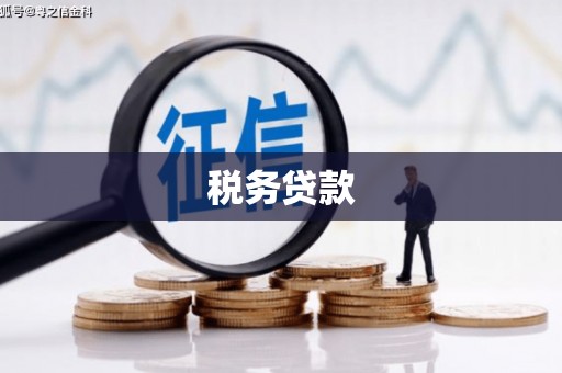平阴税务贷款