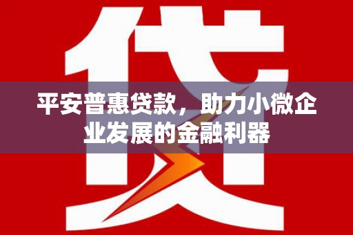 平阴平安普惠贷款，助力小微企业发展的金融利器