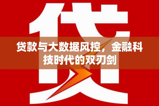 平阴贷款与大数据风控，金融科技时代的双刃剑