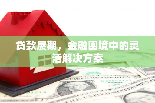 平阴贷款展期，金融困境中的灵活解决方案