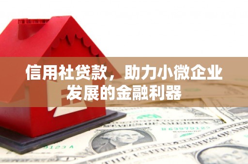 平阴信用社贷款，助力小微企业发展的金融利器