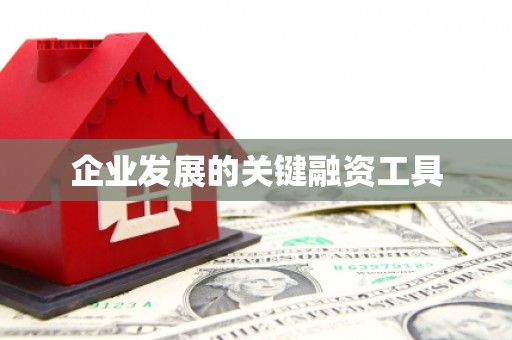 平阴企业发展的关键融资工具