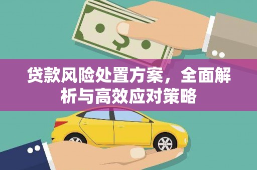 平阴贷款风险处置方案，全面解析与高效应对策略