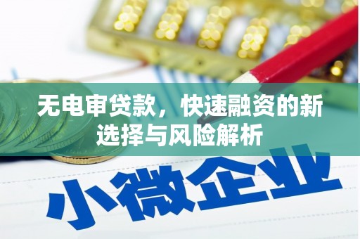平阴无电审贷款，快速融资的新选择与风险解析
