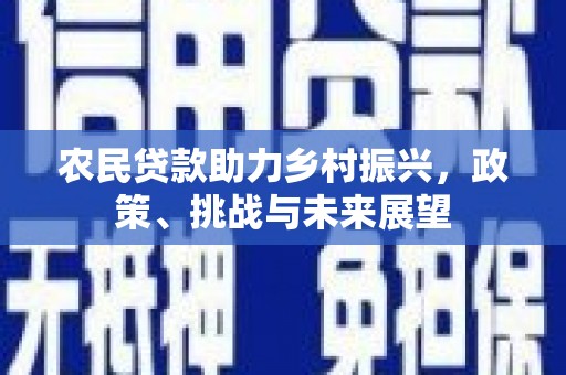 平阴农民贷款助力乡村振兴，政策、挑战与未来展望