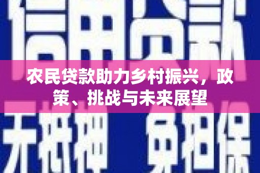 平阴农民贷款助力乡村振兴，政策、挑战与未来展望