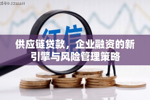 平阴供应链贷款，企业融资的新引擎与风险管理策略