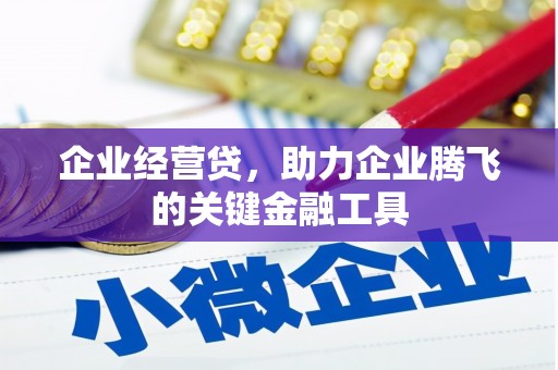 平阴企业经营贷，助力企业腾飞的关键金融工具