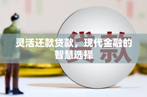 平阴灵活还款贷款，现代金融的智慧选择