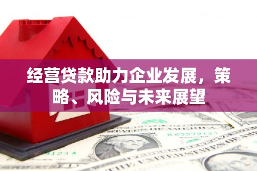 平阴经营贷款助力企业发展，策略、风险与未来展望