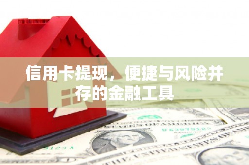平阴信用卡提现，便捷与风险并存的金融工具