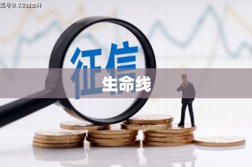 平阴生命线