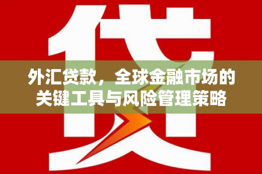 平阴外汇贷款，全球金融市场的关键工具与风险管理策略