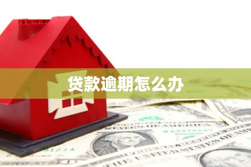 平阴贷款逾期怎么办