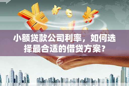 平阴小额贷款公司利率，如何选择最合适的借贷方案？
