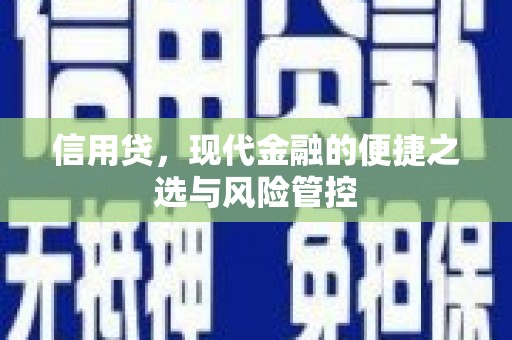 平阴信用贷，现代金融的便捷之选与风险管控