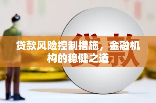 平阴贷款风险控制措施，金融机构的稳健之道