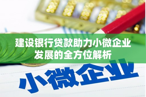 平阴建设银行贷款助力小微企业发展的全方位解析