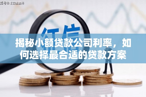 平阴揭秘小额贷款公司利率，如何选择最合适的贷款方案