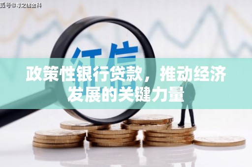 平阴政策性银行贷款，推动经济发展的关键力量