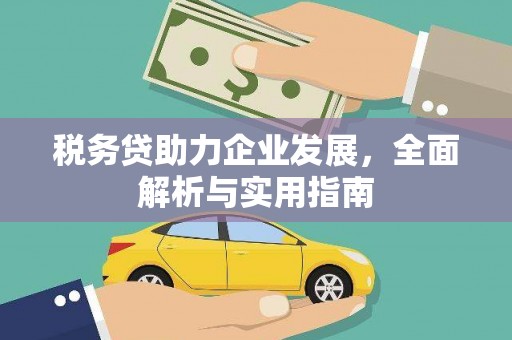 平阴税务贷助力企业发展，全面解析与实用指南