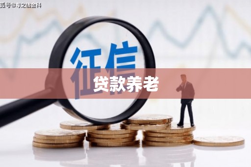 平阴贷款养老