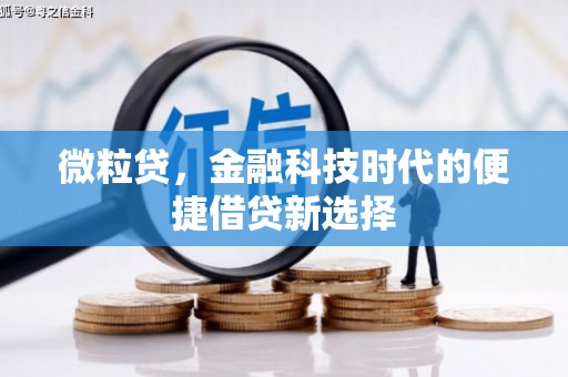 平阴微粒贷，金融科技时代的便捷借贷新选择