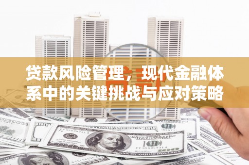 平阴贷款风险管理，现代金融体系中的关键挑战与应对策略
