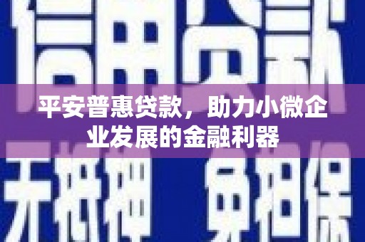平阴平安普惠贷款，助力小微企业发展的金融利器