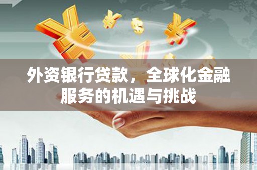 平阴外资银行贷款，全球化金融服务的机遇与挑战