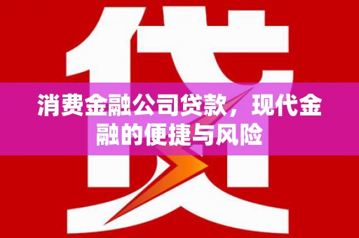 平阴消费金融公司贷款，现代金融的便捷与风险