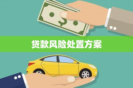 平阴贷款风险处置方案