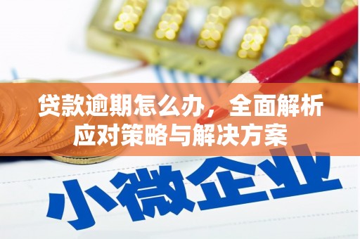 平阴贷款逾期怎么办，全面解析应对策略与解决方案